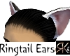 Ringtail Cat Ears