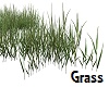 Add Grass