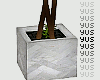 Y: Marble Potted Tree