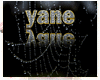 yane