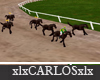 xlx Horse Race Track