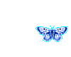 Sm blue butterfly