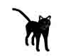 halloween cat black