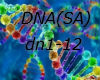 DNA(SA)