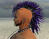 Black Purple Mohawk