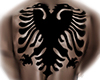 N| Albanian Back Tattoo