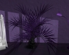 Purple Plant AU Illumin