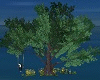 Tree Animated Swing