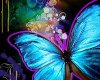 Neon Butterfly picture