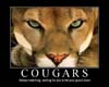 [T] Cougar Pic