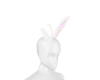 F Bunny Ears