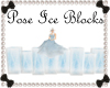 RS~Pose Ice Blocks