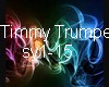 Timmy Trumpet (100)