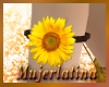 [ML] Sunflower Armbands