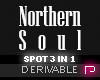P♫NorthernSoulSPOT3in1