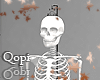 White Medical Skeleton