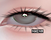 & Mouya Humus ReQ