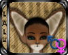 ~L~ Coyote Ears V2