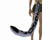 >(HC)< REAL Snowlep Tail