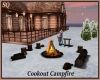 Cookout Party Bonfire