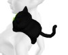 black shoulder kitty ♥