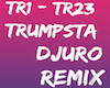 Electro Trumpsta Remix