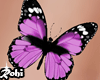 Belly Butterfly Purple