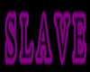 Slave Collar Purple