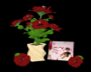 Gift Roses Encomenda