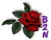 B2N-Red Rose Art