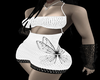 Papilio 2