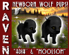 NEWBORN WOLF PUPPIES!