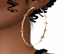 STARFISH  EARRINGS
