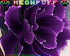 Meow! Sue Hair Peony