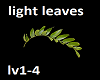 light leaves