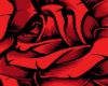overlapping roses
