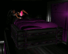)b( Purple kitty bed