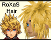 Roxas Hair