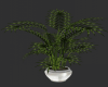 Willow leaf