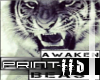 FFD Print - Awaken
