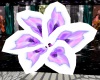White,Lilac,flower chair
