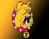 (MI) FSU Bulldogs