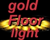 Gold Floor Light