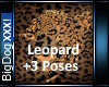 [BD]Leopard+3Poses