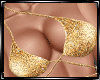 Maria Gold Bikini Set