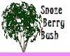 Snoze Berry Bush