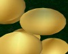 Soft Gold Balloons