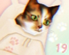 Calico米香