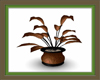 Potted Copper Palm