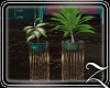 ~Z~Jade Planter 6